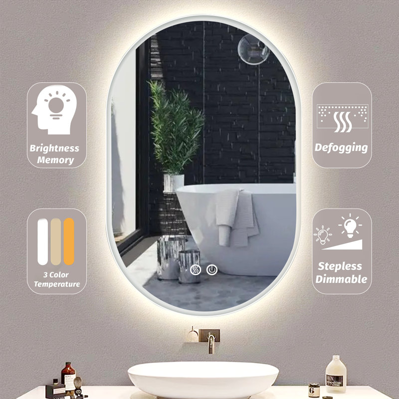 Orren Ellis Oval LED Wall Mirror | Wayfair